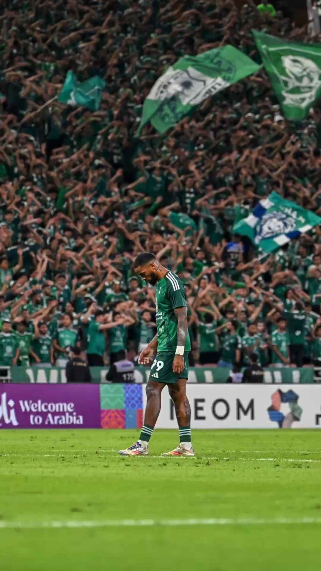 إيفان توني: نجومية متصاعدة في الدوري الإنجليزي
