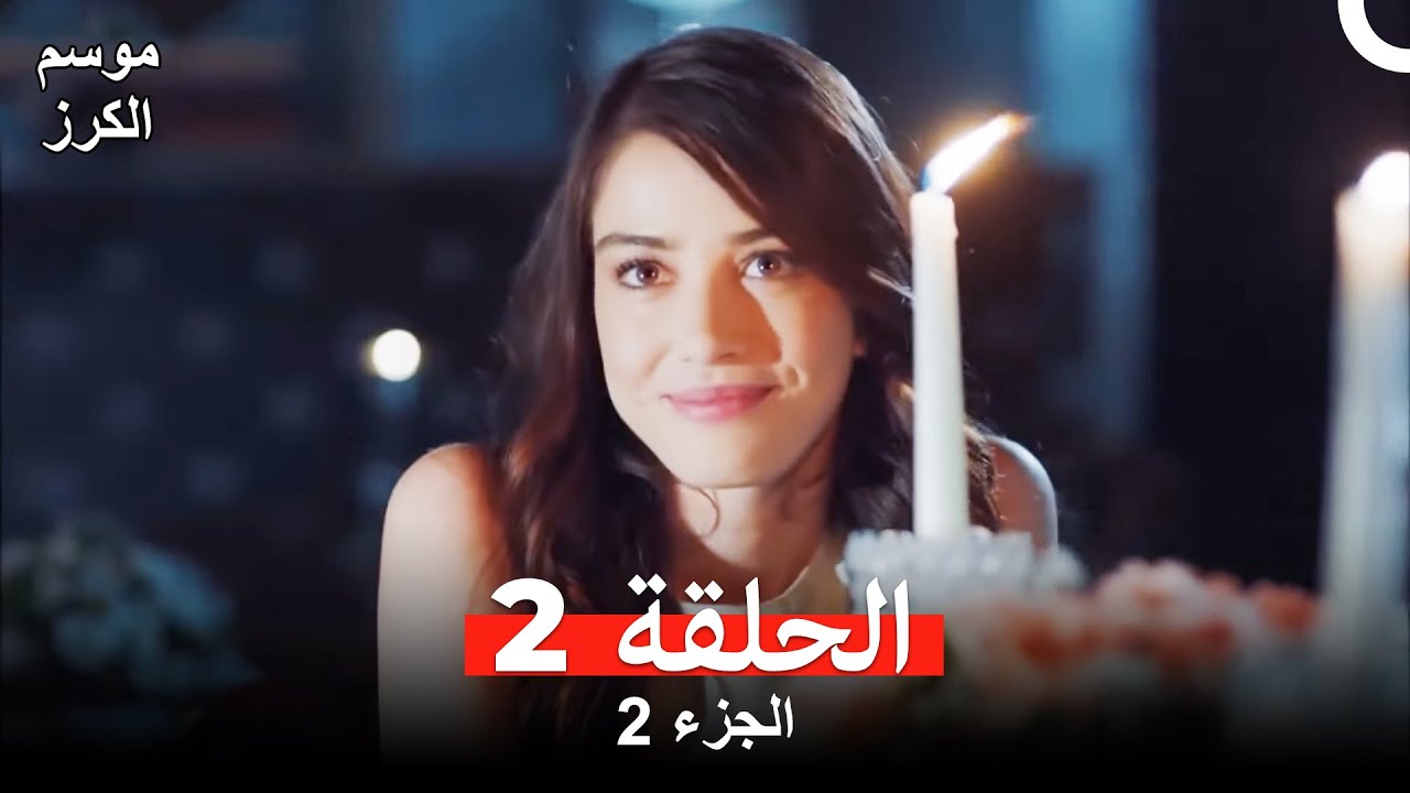 استكشاف موسم الاحتفالات في السعودية