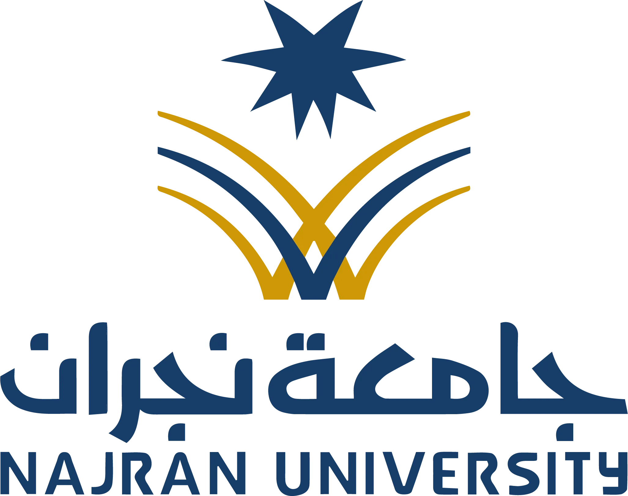 أهمية جامعة نجران في تطوير التعليم بالمملكة