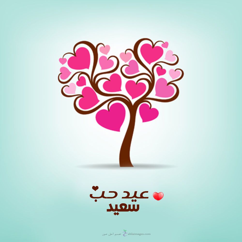 وولفرهامبتون ضد تشيلسي: تحليل المباراة وأحداثها
