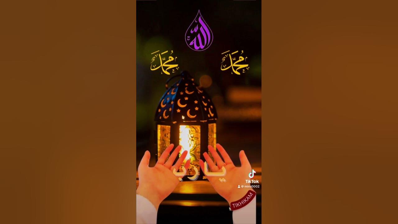 أخبار عاجل: الاطلاع على المستجدات الراهنة