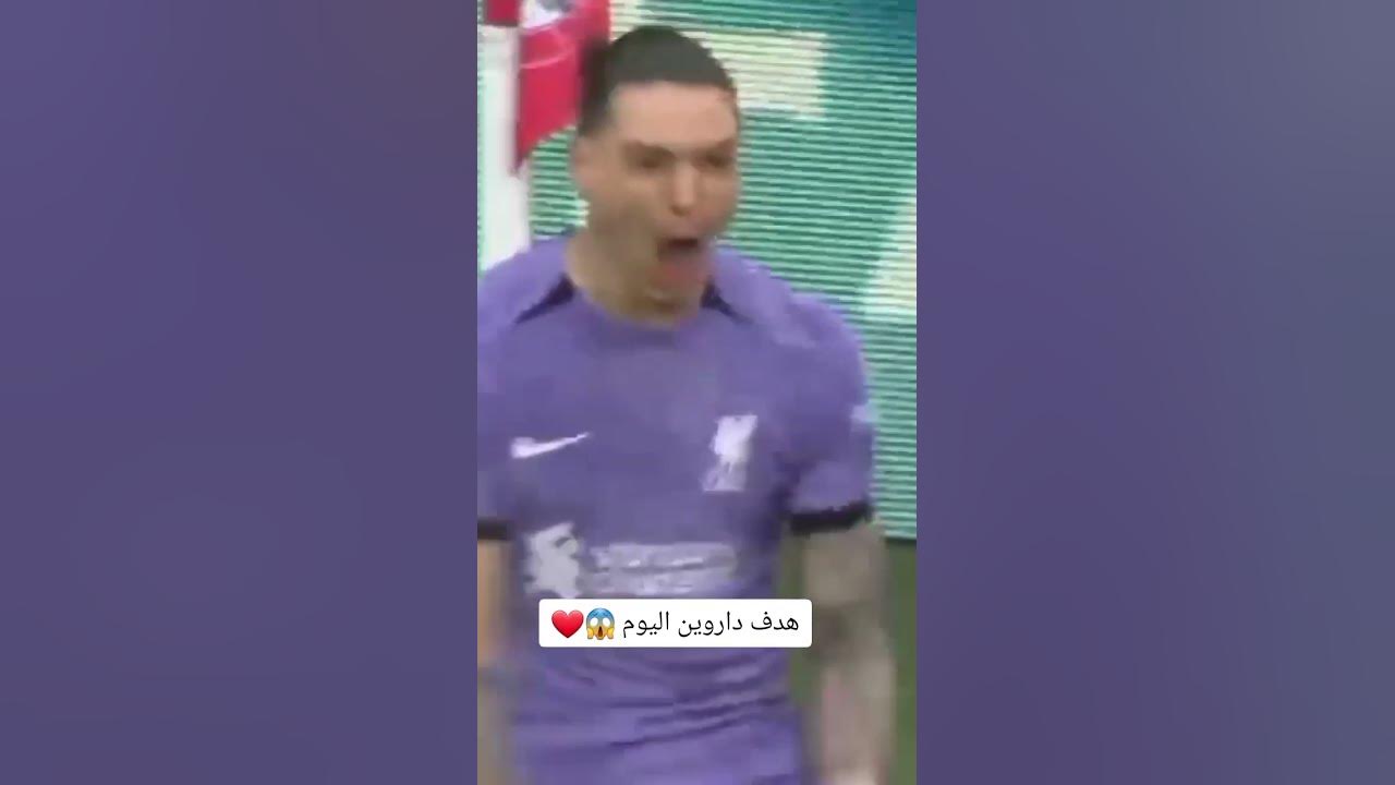 باد باني: أهمية وحالة السوق الحالية