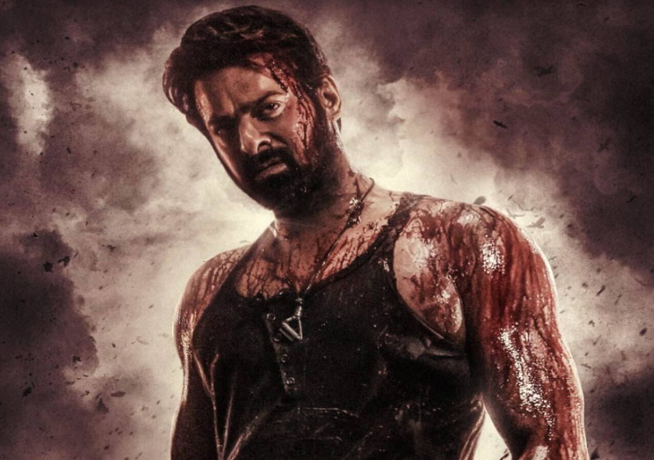 تقرير عن إيرادات فيلم الحدود في شباك التذاكر