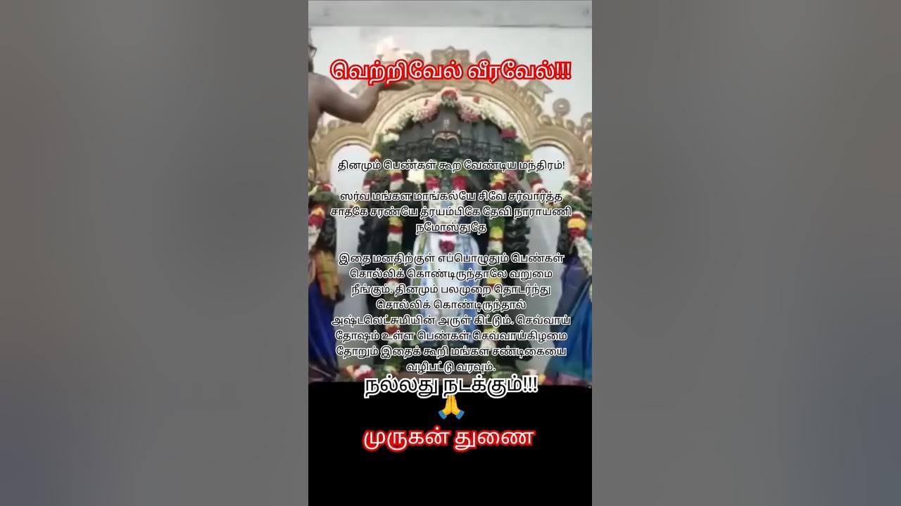 ماكس هينغو: أبرز الأخبار والتطورات في مسيرته