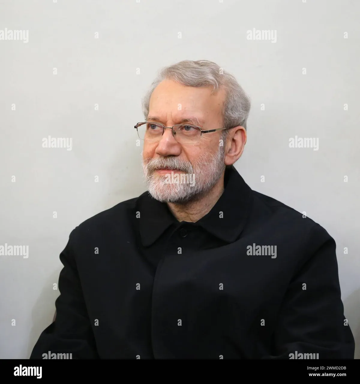 ali larijani — SA news