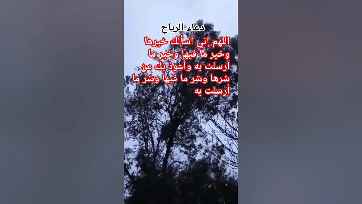 دعاء الرياح — SA news