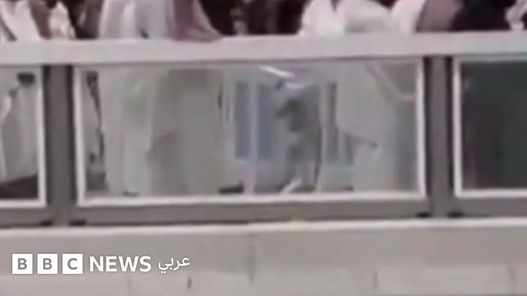 الحرم مباشر — SA news