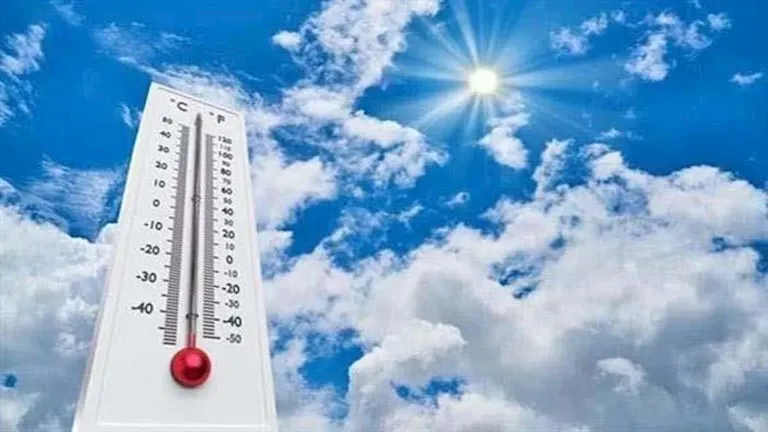 الطقس غدًا — SA news