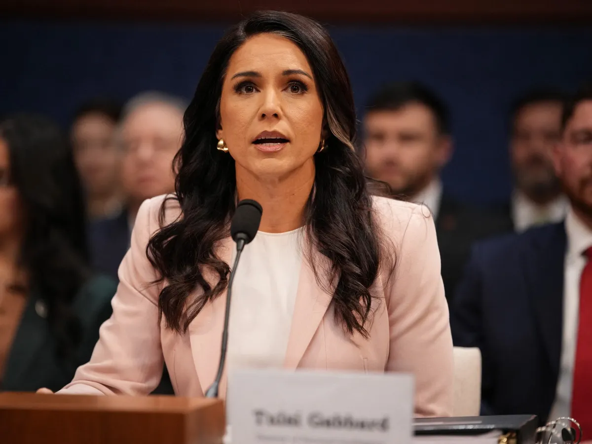 tulsi gabbard — SA news