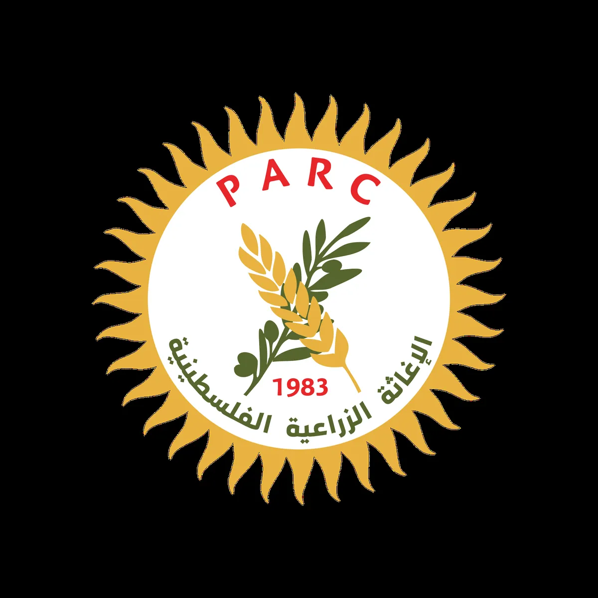 طاقة — SA news
