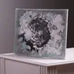 شيخ
